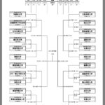 全日本大学サッカー選手権大会